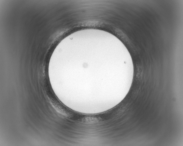 X0000078880636200612042025