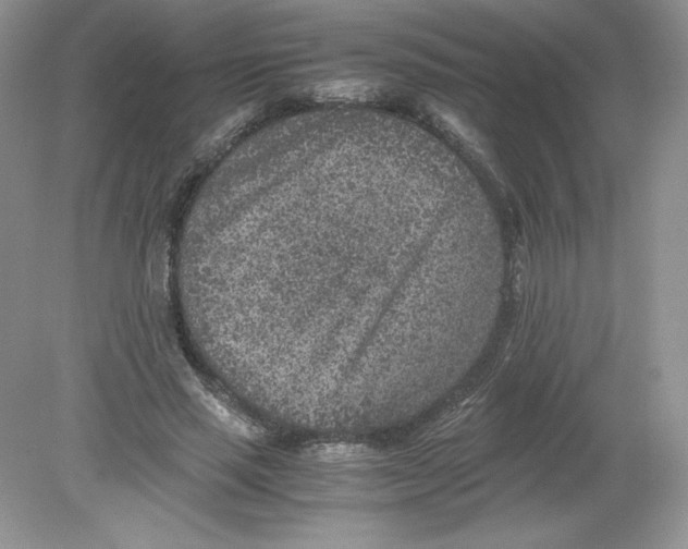 X0000078880637200612042025