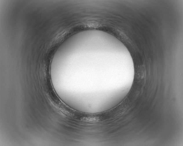 X0000078880639200612042025