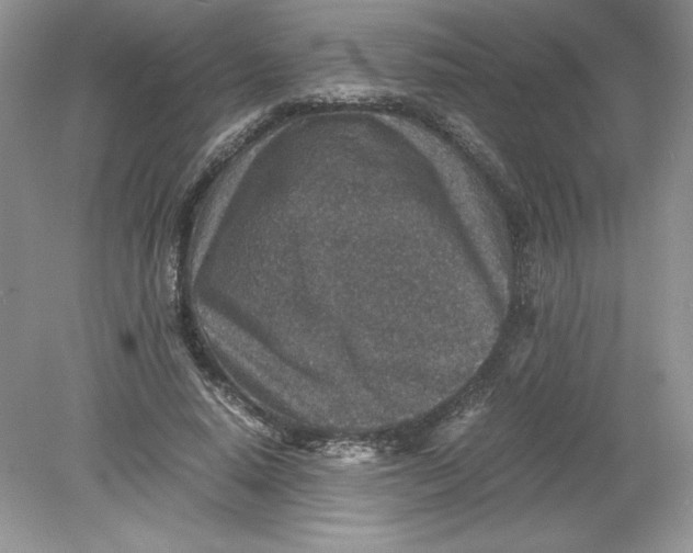 X0000078880640200612042025