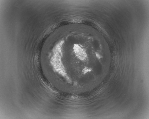 X0000078880641200612042025