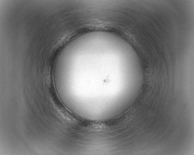 X0000078880642200612042025