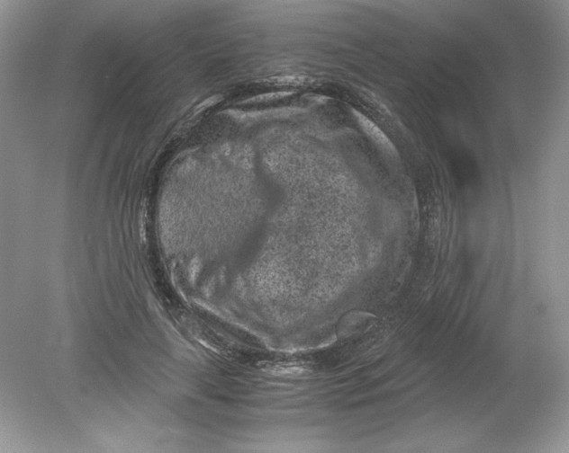 X0000078880643200612042025