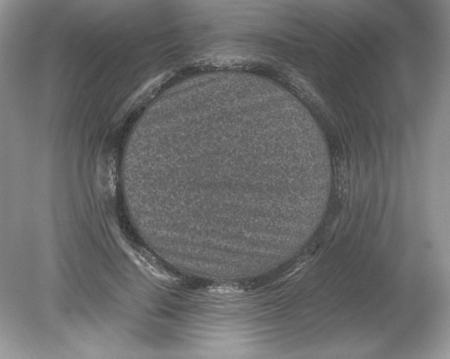 X0000078880644200612042025