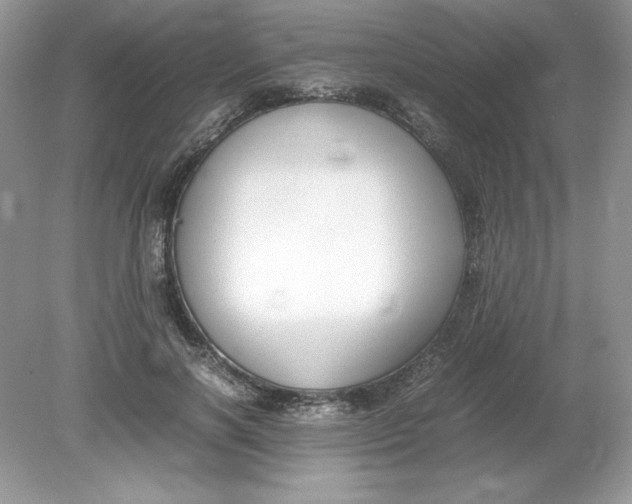 X0000078880646200612042025