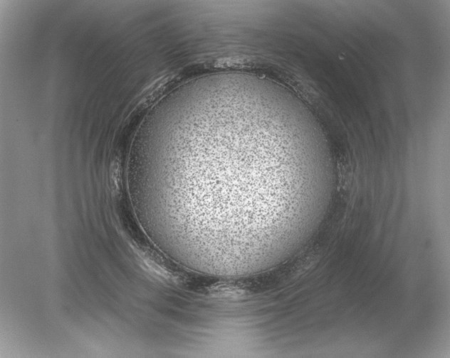 X0000078880648200612042025