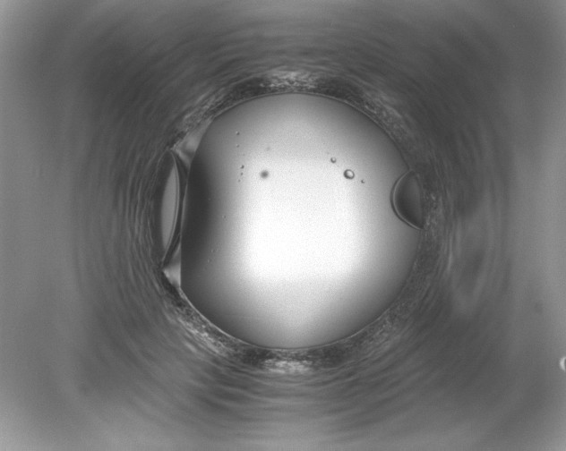 X0000078880649200612042025