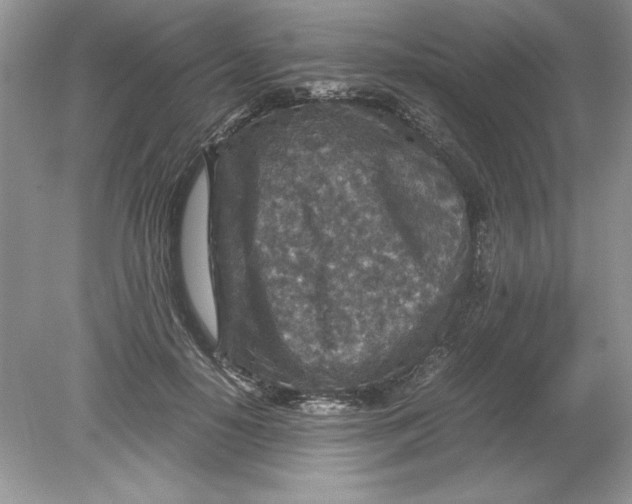 X0000078880650200612042025