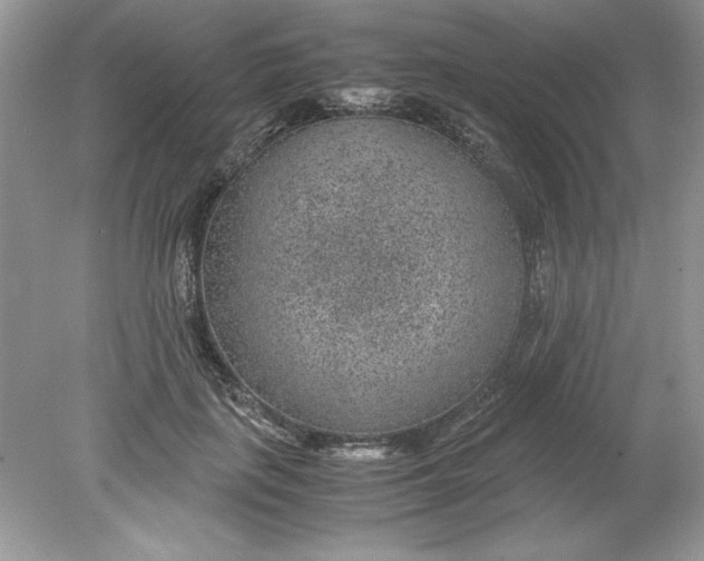 X0000078880651200612042025