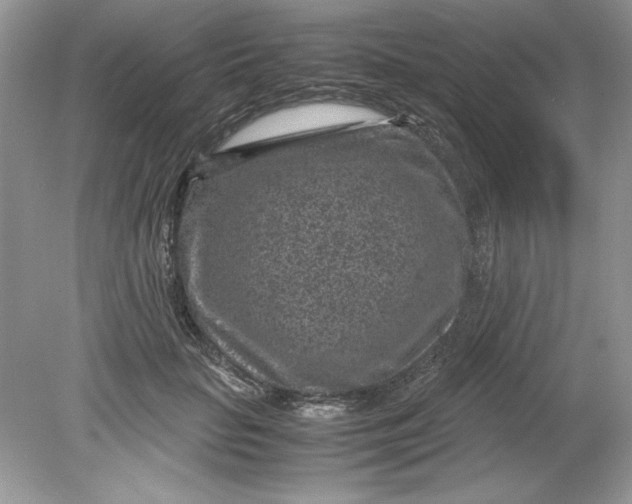 X0000078880653200612042025