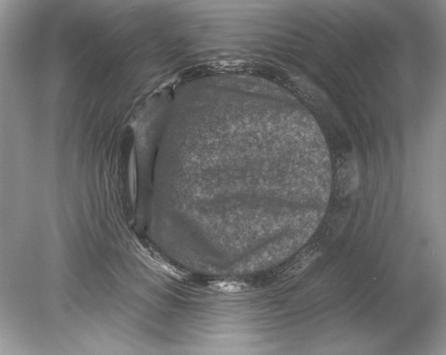 X0000078880654200612042025