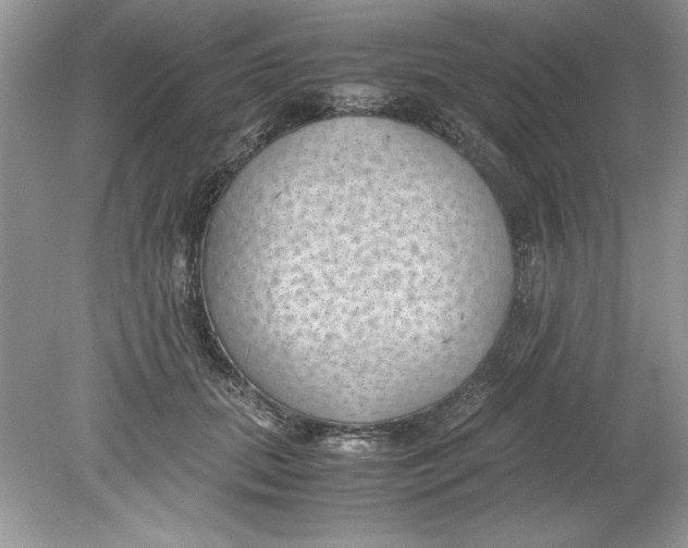 X0000078880655200612042025