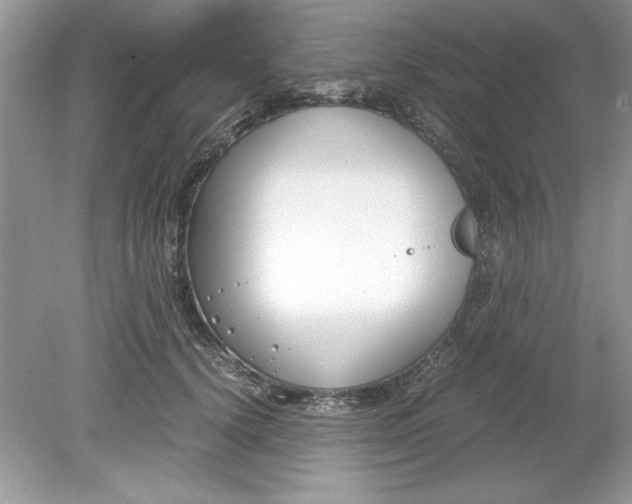 X0000078880656200612042025