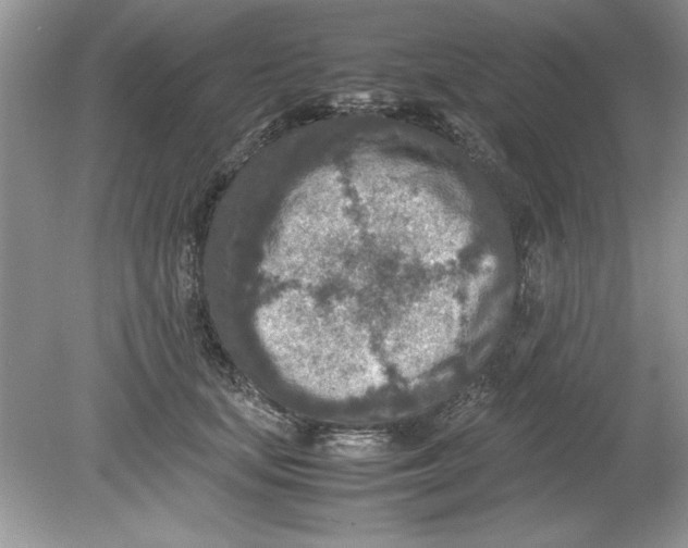 X0000078880659200612042025