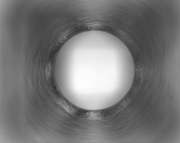 X0000078880660200612042025