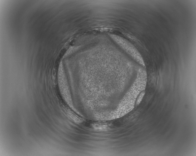 X0000078880661200612042025