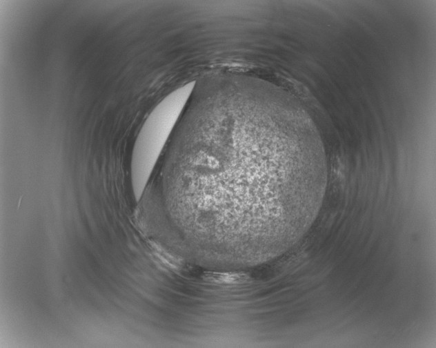 X0000078880663200612042025