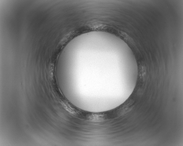 X0000078880664200612042025