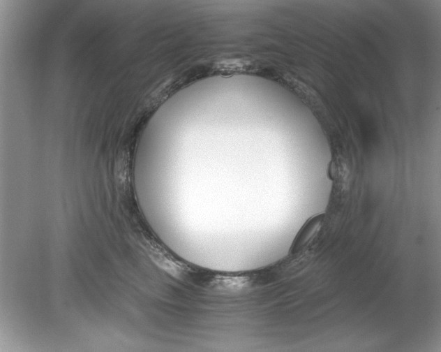 X0000078880665200612042025