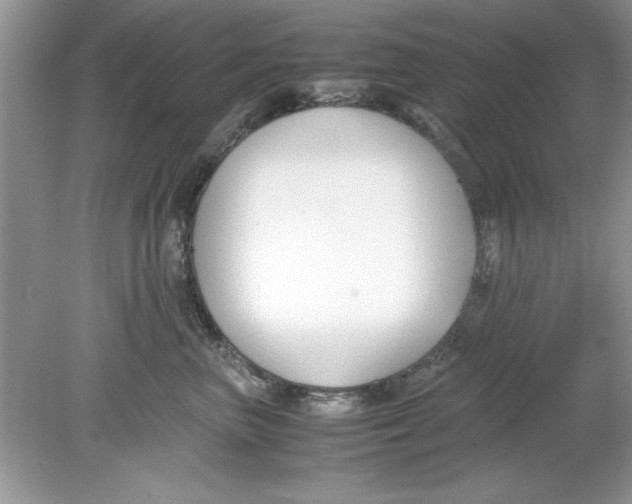 X0000078880667200612042025