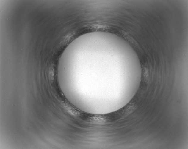 X0000078880668200612042026