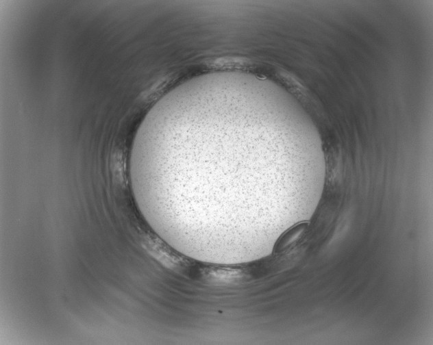 X0000078880669200612042026