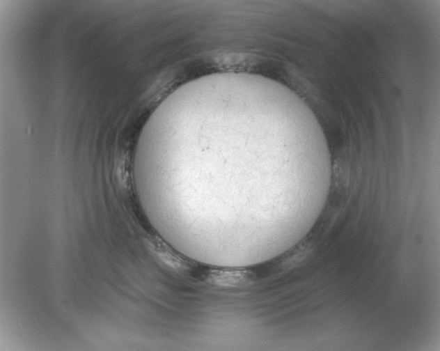 X0000078880671200612042026