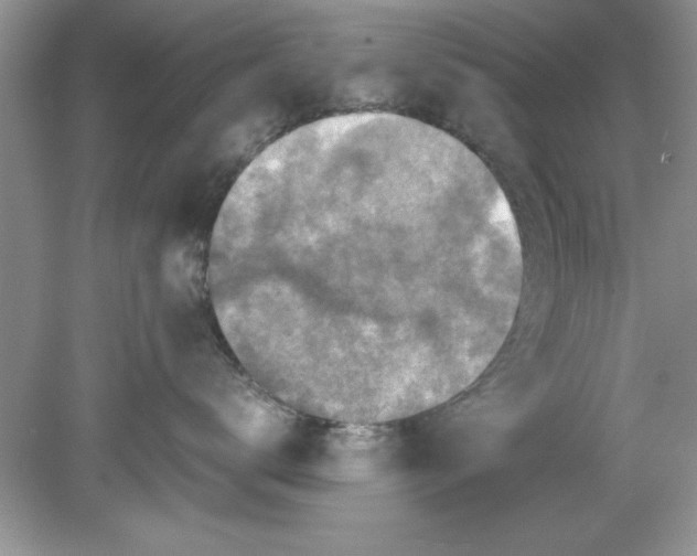 X0000078880672200612042026