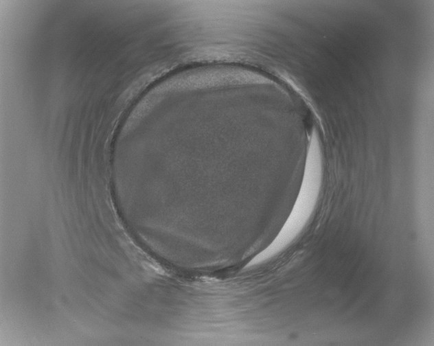 X0000078880673200612042025