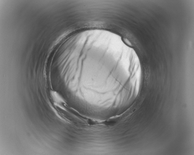 X0000078880674200612042025