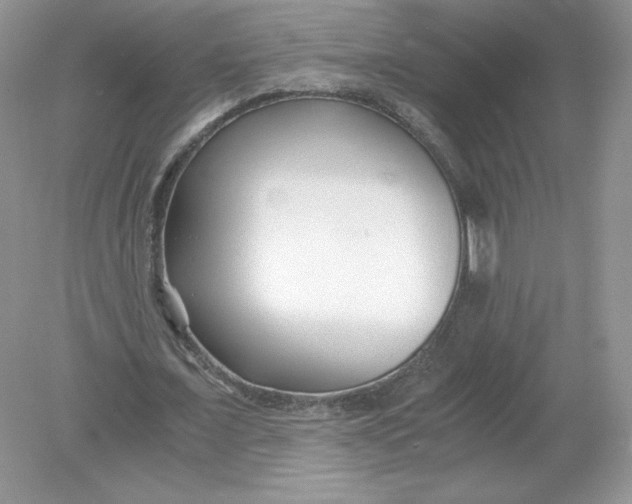 X0000078880675200612042025