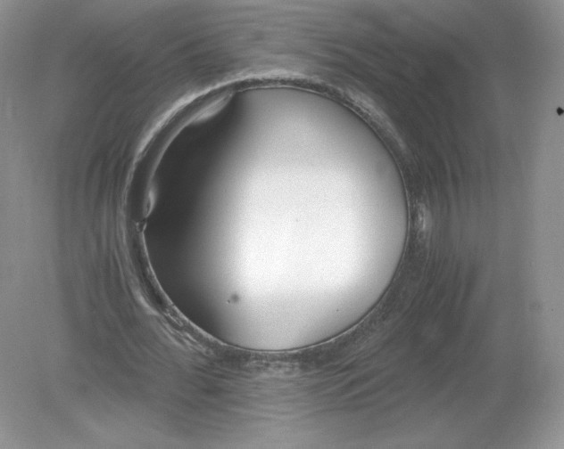 X0000078880676200612042025