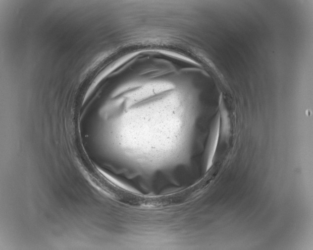 X0000078880677200612042025