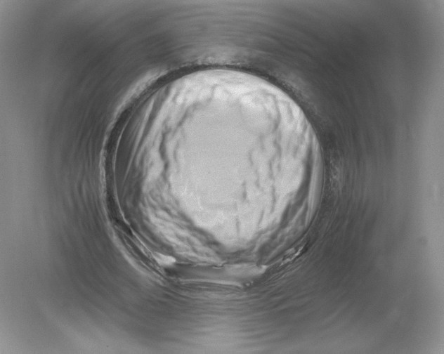 X0000078880678200612042025