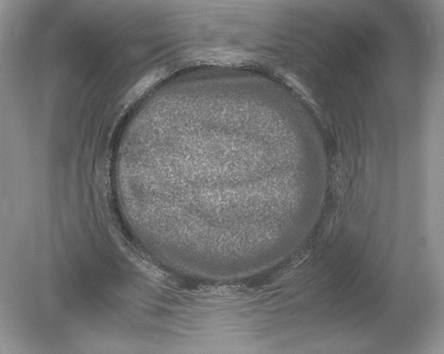 X0000078880679200612042025