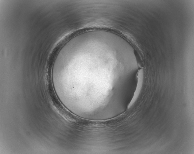 X0000078880680200612042025