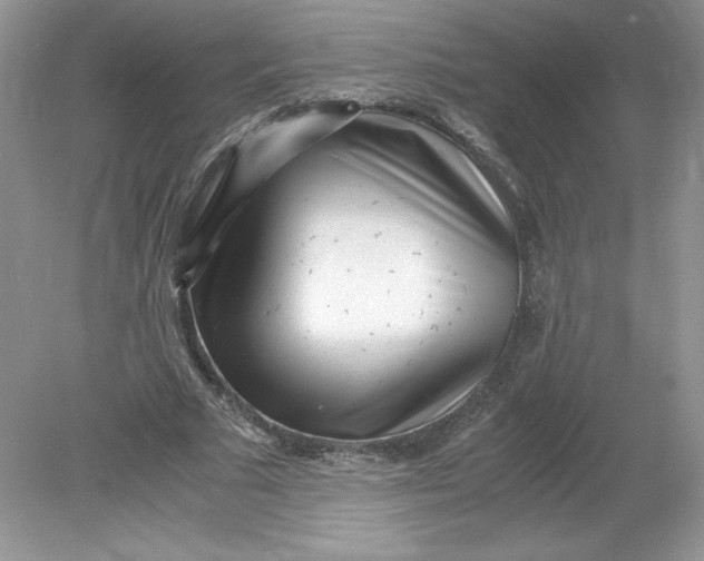 X0000078880681200612042025