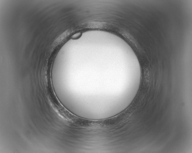 X0000078880682200612042025