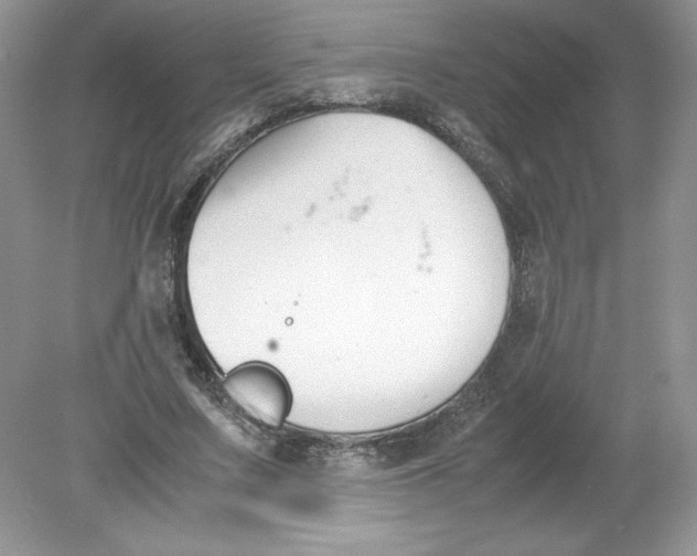 X0000078880683200612042025