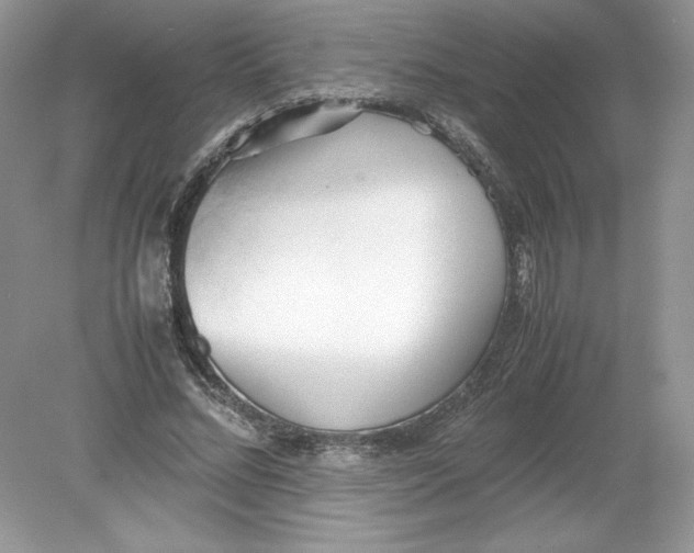 X0000078880684200612042025