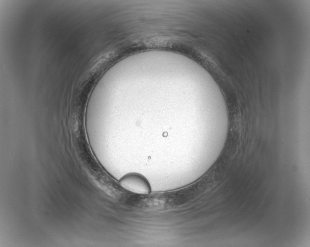 X0000078880687200612042025