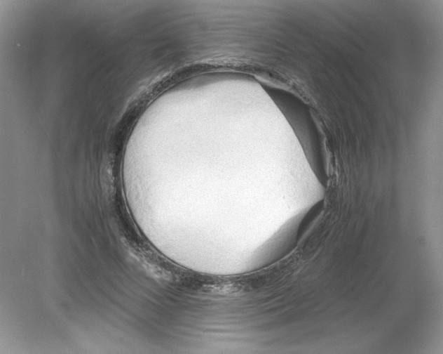 X0000078880688200612042025