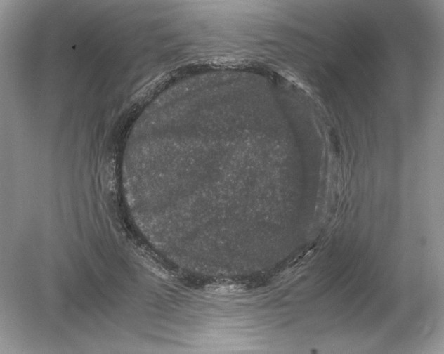 X0000078880689200612042024