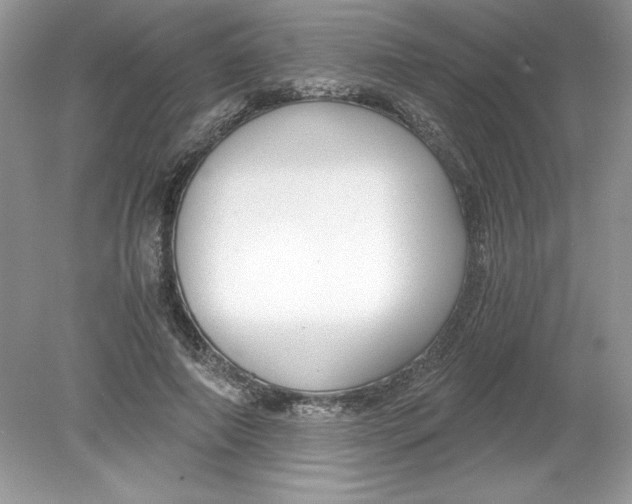 X0000078880690200612042024