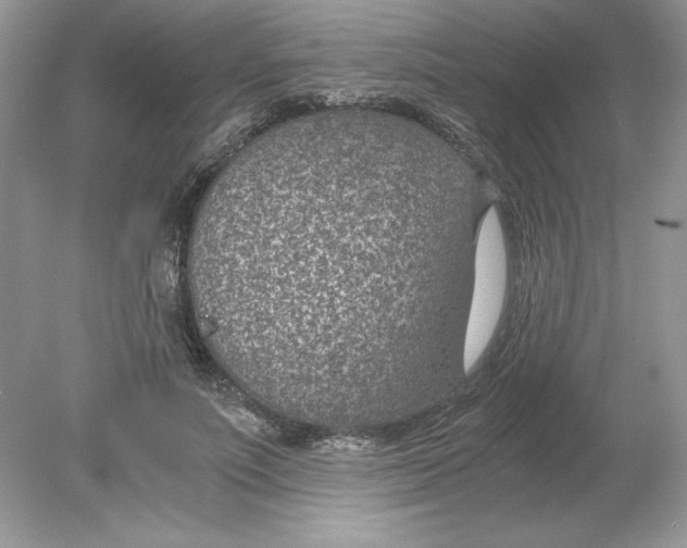 X0000078880691200612042024