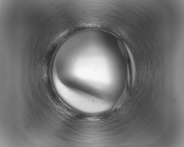 X0000078880692200612042024