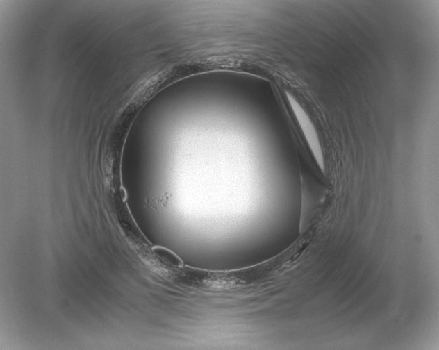 X0000078880693200612042024