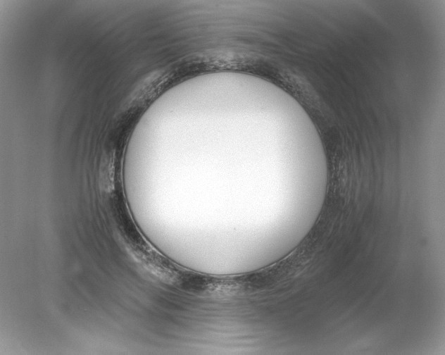 X0000078880694200612042024