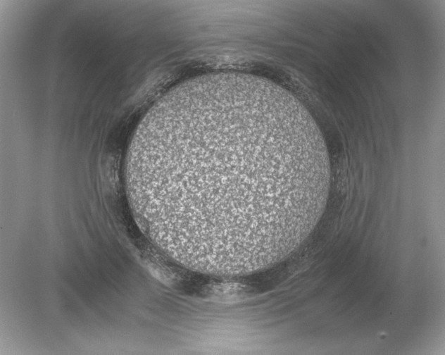 X0000078880695200612042024