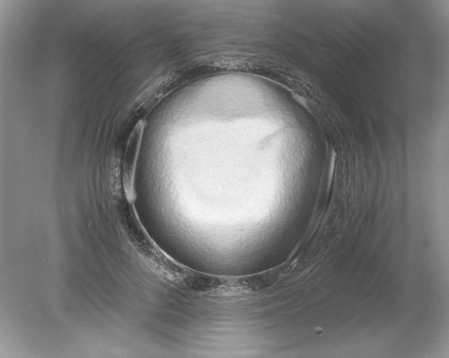 X0000078880696200612042024